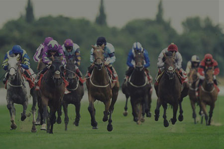 Attend a horse race event